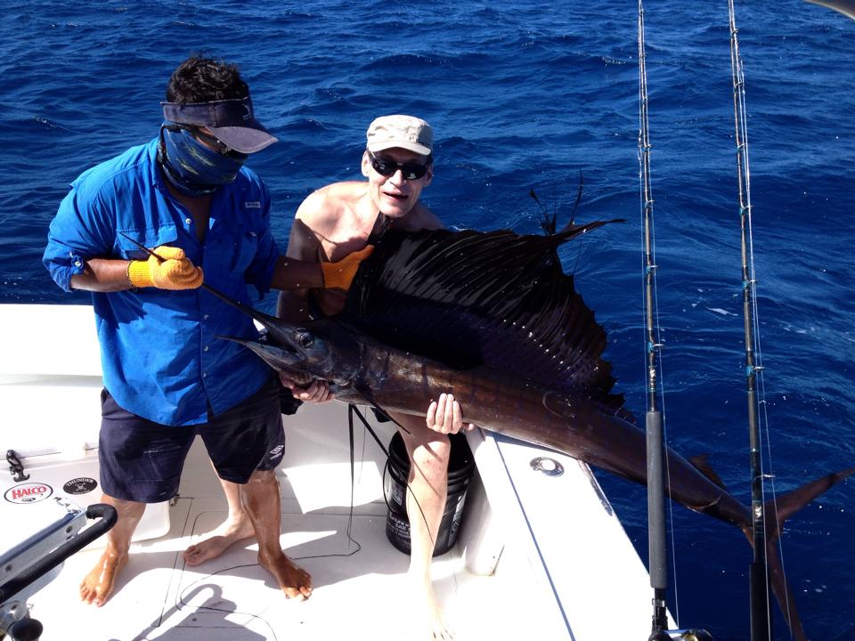 sailfish fishing in papagayo sailfish fishing in papagayo