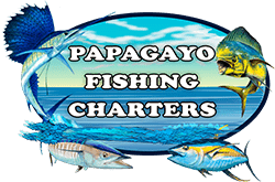 Papagayo Fishing