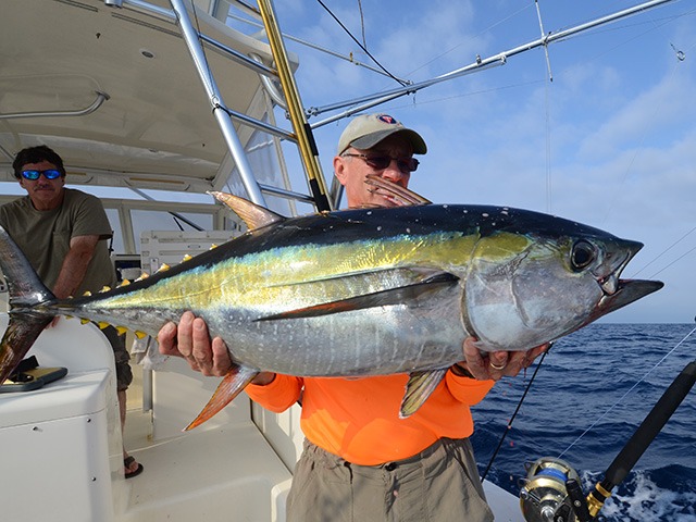 Papagayo yellowfin tuna fishing