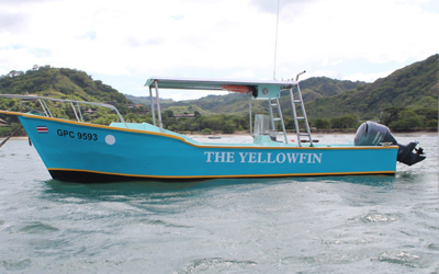 Yellowfin boat Flamingo