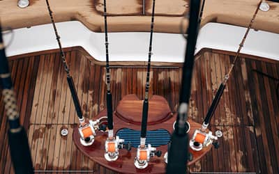 Spider boat papagayo